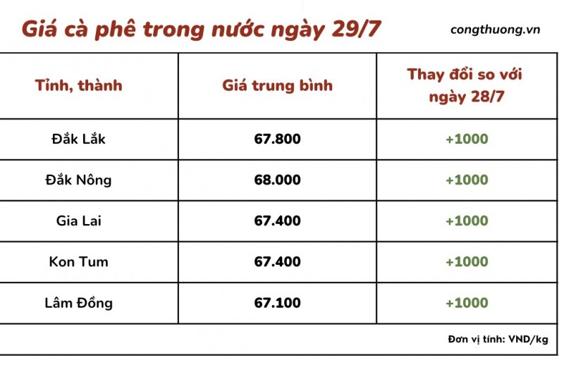 Giá cà phê 9/8, giá cà phê trong nước ngày 9/8/2023 Giá cà phê 9/8, giá cà phê trong nước ngày 9/8/2023