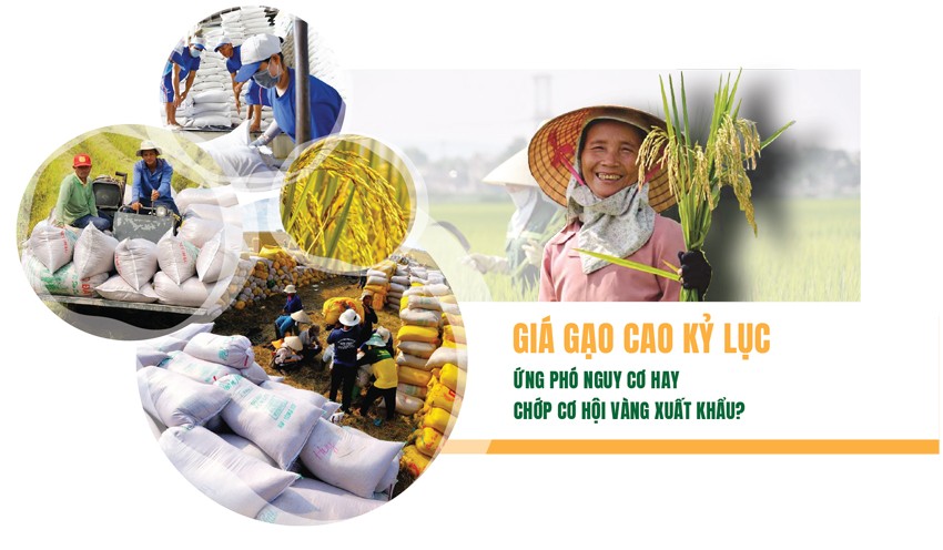 Xuất khẩu gạo: Vì sao chuyên gia lo trượt chân trên sân nhà?