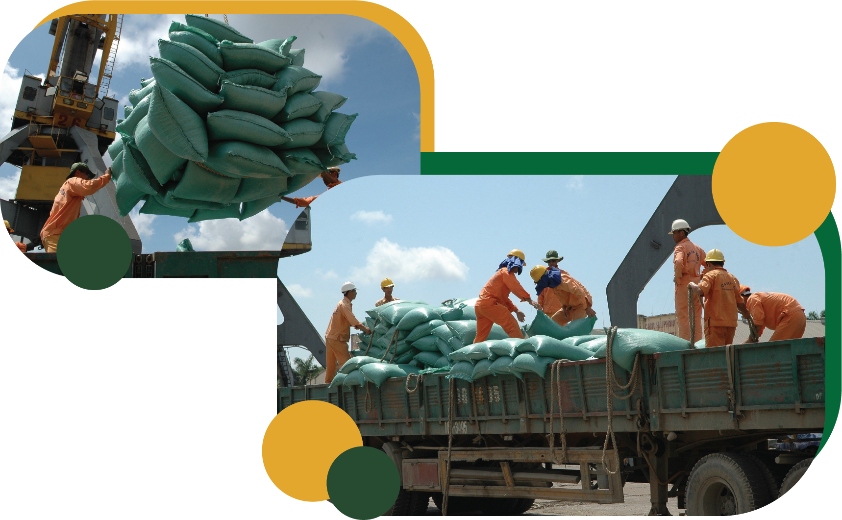 Xuất khẩu gạo: Vì sao chuyên gia lo trượt chân trên sân nhà?