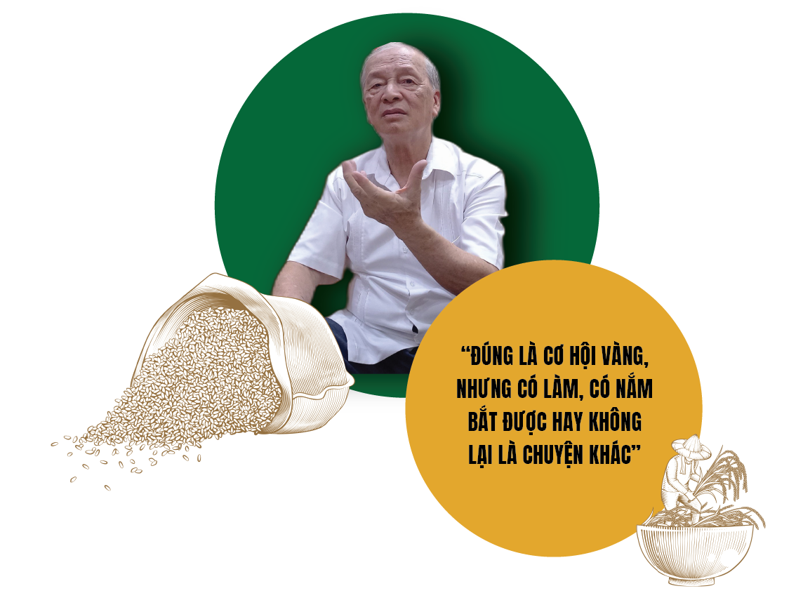 Xuất khẩu gạo: Vì sao chuyên gia lo trượt chân trên sân nhà?