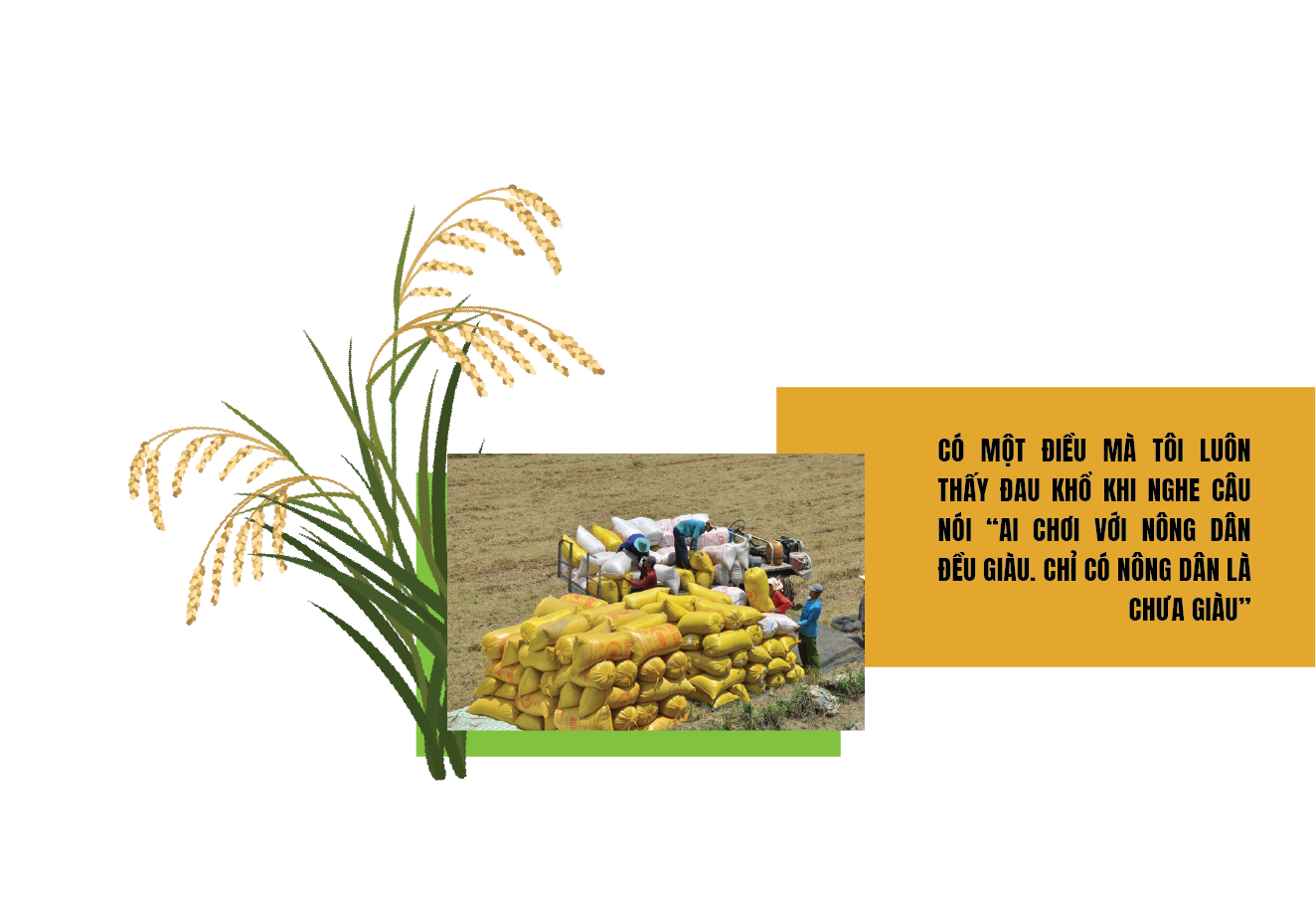 Xuất khẩu gạo: Vì sao chuyên gia lo trượt chân trên sân nhà?