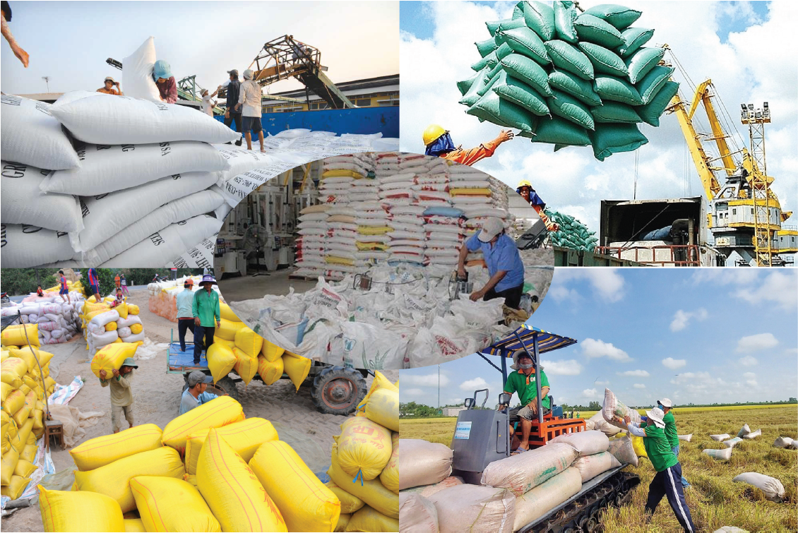 Xuất khẩu gạo: Vì sao chuyên gia lo trượt chân trên sân nhà?