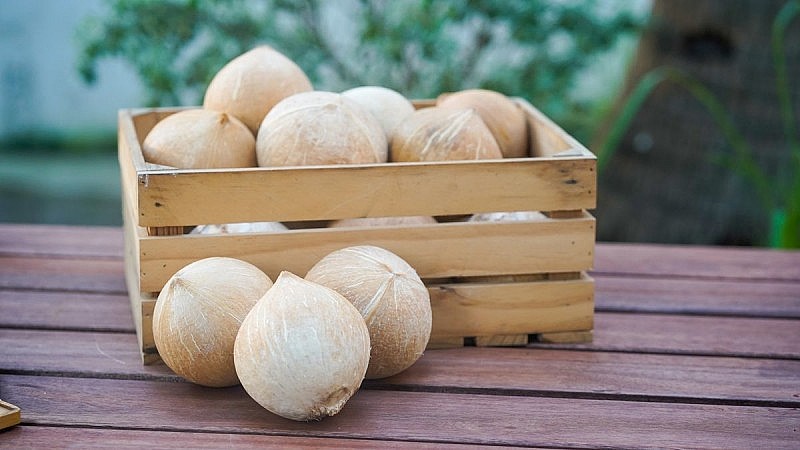 xuất khẩu dừa sọ xuất khẩu dừa sọ