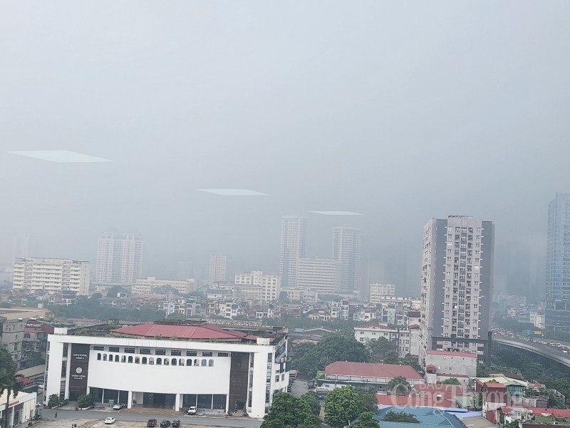 sương mù 11.8 sương mù 11.8