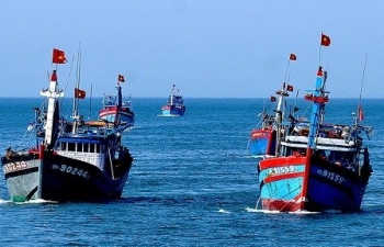 Thời tiết biển hôm nay 12/8/2023: Thuận lợi cho ngư dân vươn khơi, yên tâm bám biển