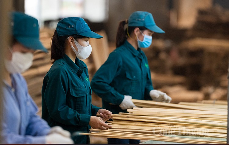 nguồn nguyên liệu đầu vào quan trọng của các doanh nghiệp nguồn nguyên liệu đầu vào quan trọng của các doanh nghiệp