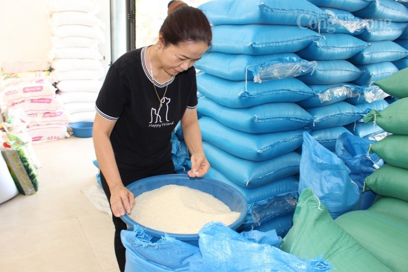 Bài 2: Sẽ xử lý nghiêm nếu phát hiện đại lý gạo đầu cơ, găm hàng, “bắt tay nhau” đẩy giá Bài 2: Sẽ xử lý nghiêm nếu phát hiện đại lý gạo đầu cơ, găm hàng, “bắt tay nhau” đẩy giá