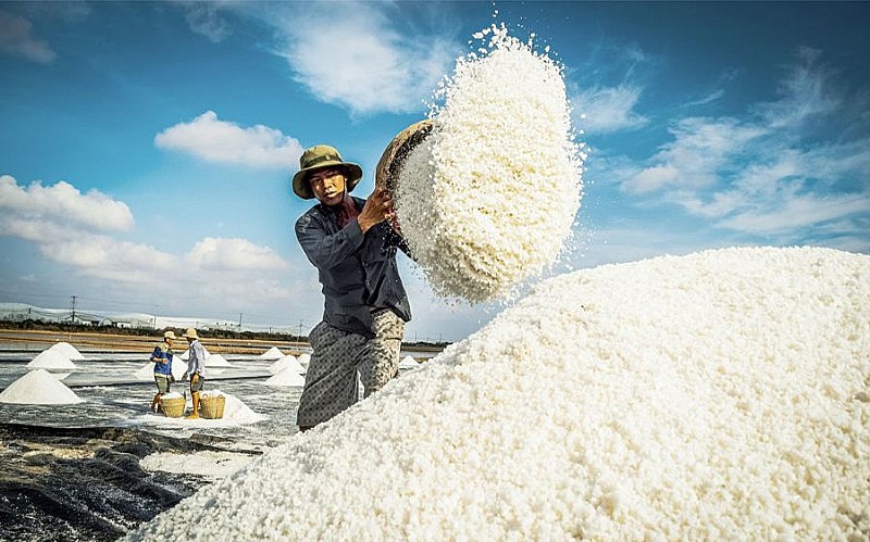 Diêm dân nghèo, lỗi có phải do muối nhập khẩu? Diêm dân nghèo, lỗi có phải do muối nhập khẩu?