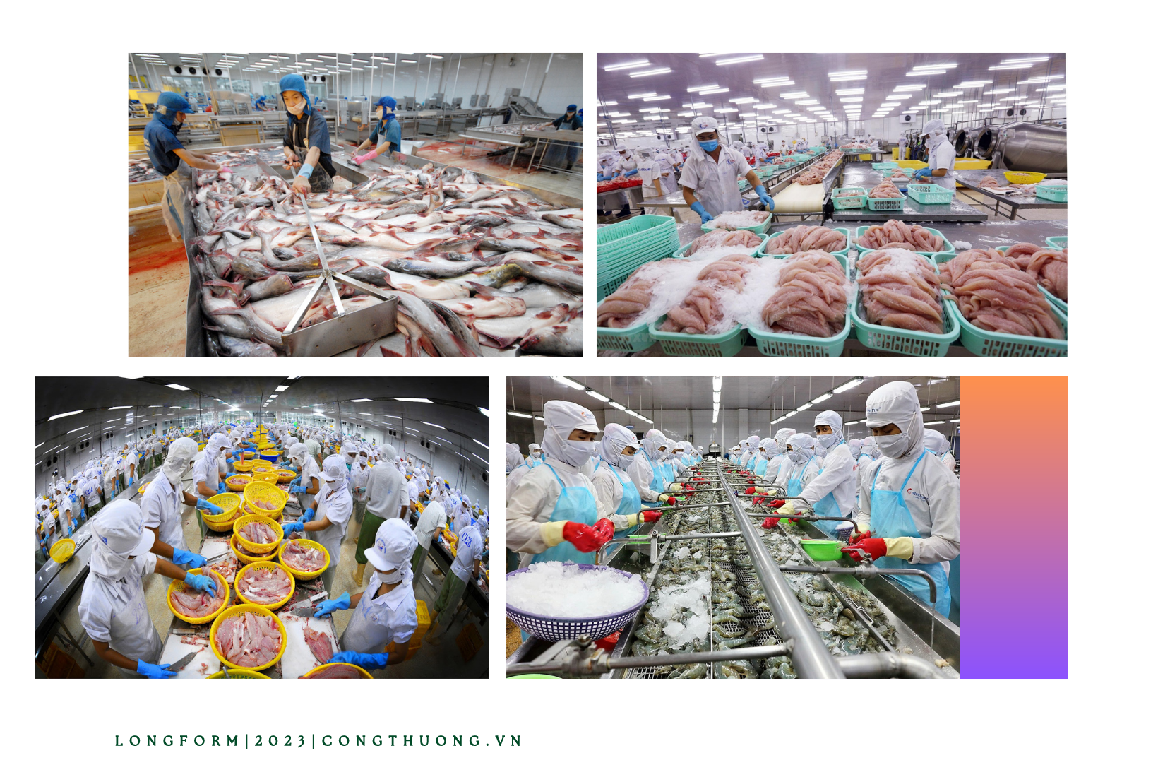 Longform | Bài 3: Để thị trường nội địa thực sự trở thành trụ cột vững chắc Longform | Bài 3: Để thị trường nội địa thực sự trở thành trụ cột vững chắc