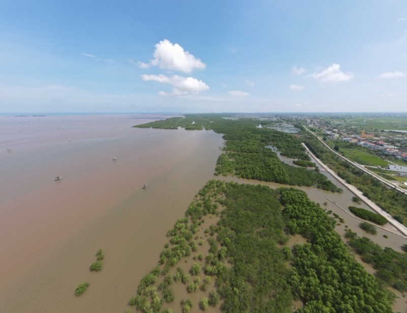 Thái Bình lên tiếng về việc xóa bỏ Khu bảo tồn thiên nhiên Tiền Hải Thái Bình lên tiếng về việc xóa bỏ Khu bảo tồn thiên nhiên Tiền Hải