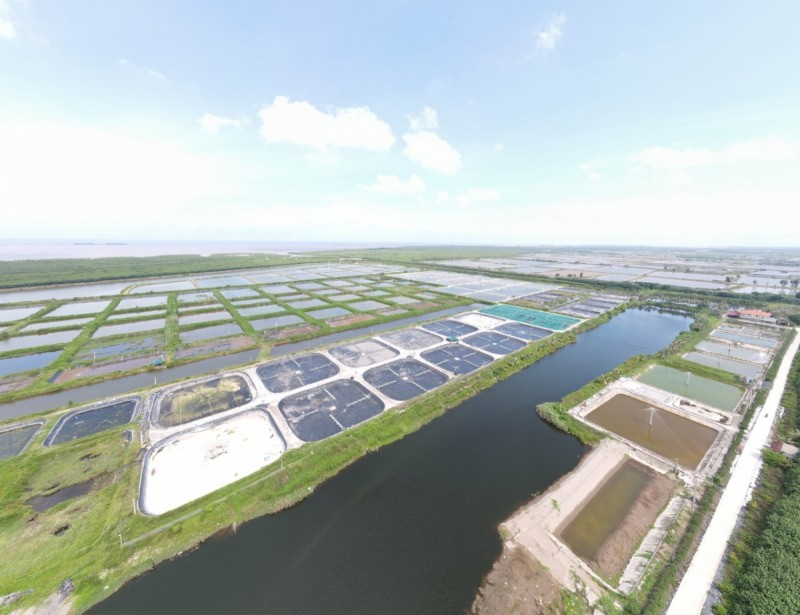 Thái Bình lên tiếng về việc xóa bỏ Khu bảo tồn thiên nhiên Tiền Hải Thái Bình lên tiếng về việc xóa bỏ Khu bảo tồn thiên nhiên Tiền Hải