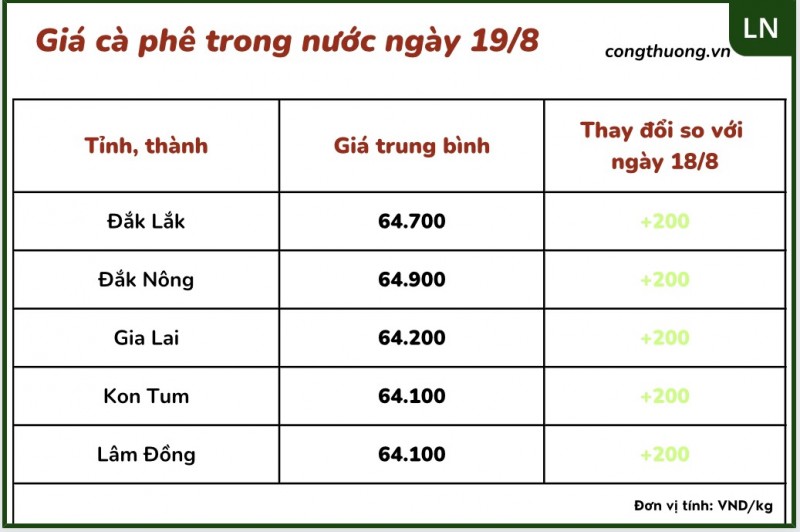 Giá cà phê 19/8, giá cà phê trong nước ngày 19/8/2023 Giá cà phê 19/8, giá cà phê trong nước ngày 19/8/2023