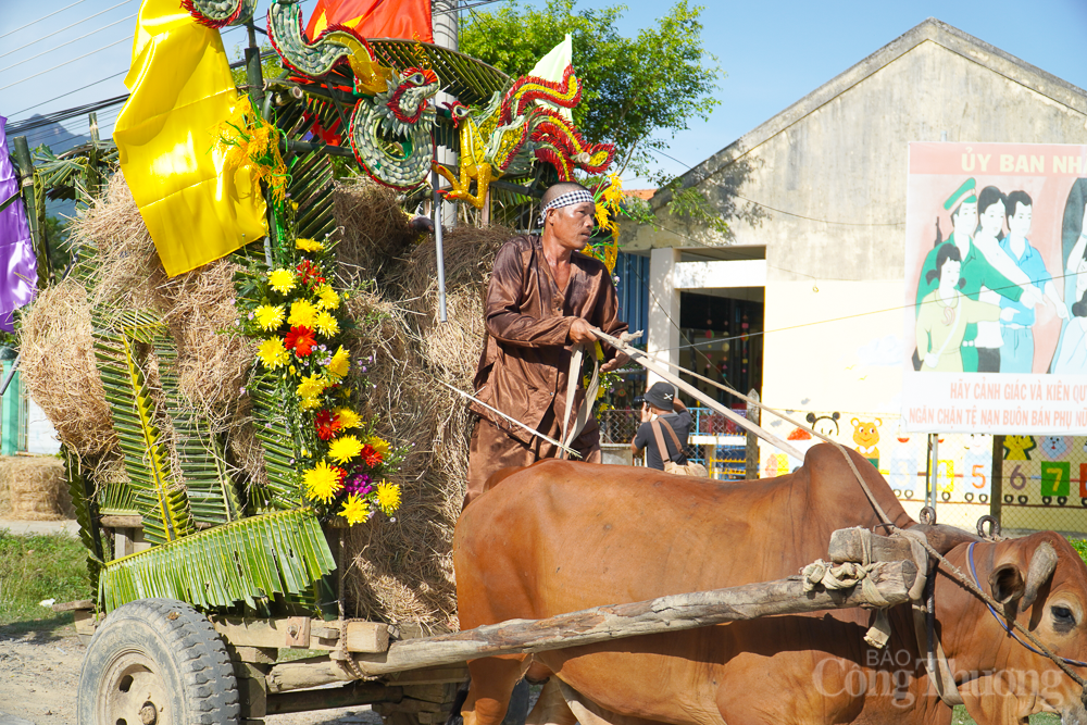 Nhà nông trổ tài đua xe bò