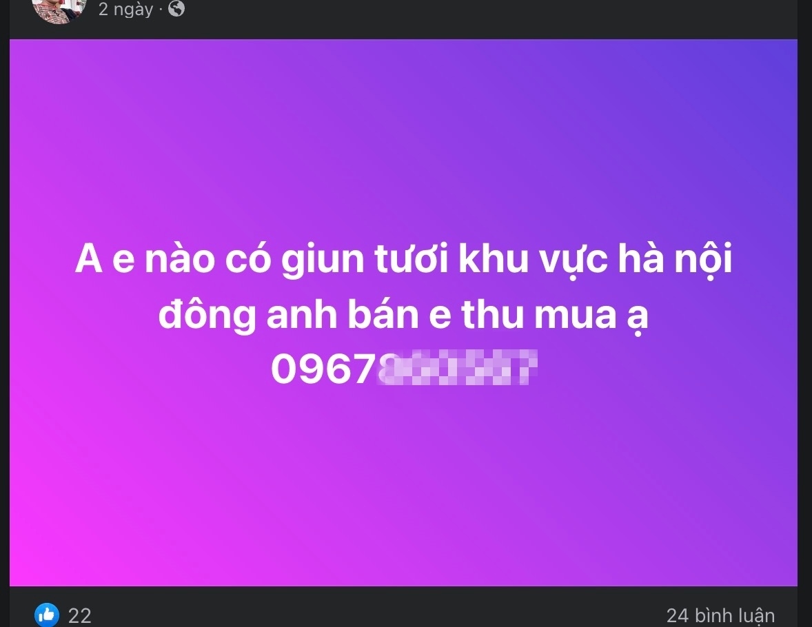Thảm họa kích điện giun đất tàn phá vườn tược: Chiêu trò ‘đánh nhanh, thu gọn’ của đầu nậu - 2