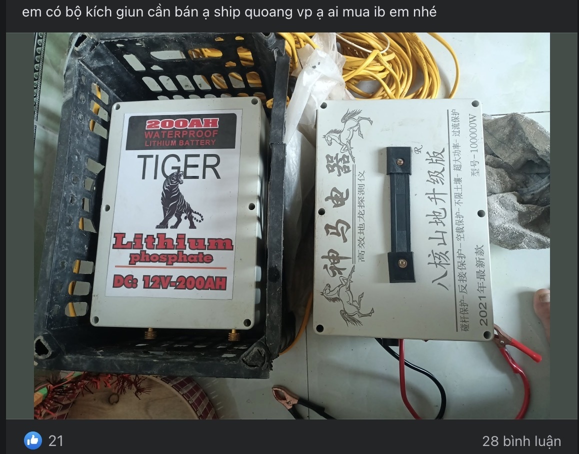 Thảm họa kích điện giun đất tàn phá vườn tược: Chiêu trò ‘đánh nhanh, thu gọn’ của đầu nậu - 3