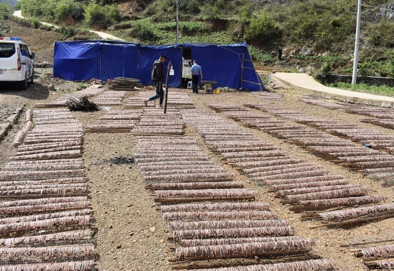 Một điểm gia công giun đất để chế thành địa long ở Uy Ninh, tỉnh Quý Châu của Trung Quốc. (Ảnh: Xinhua)