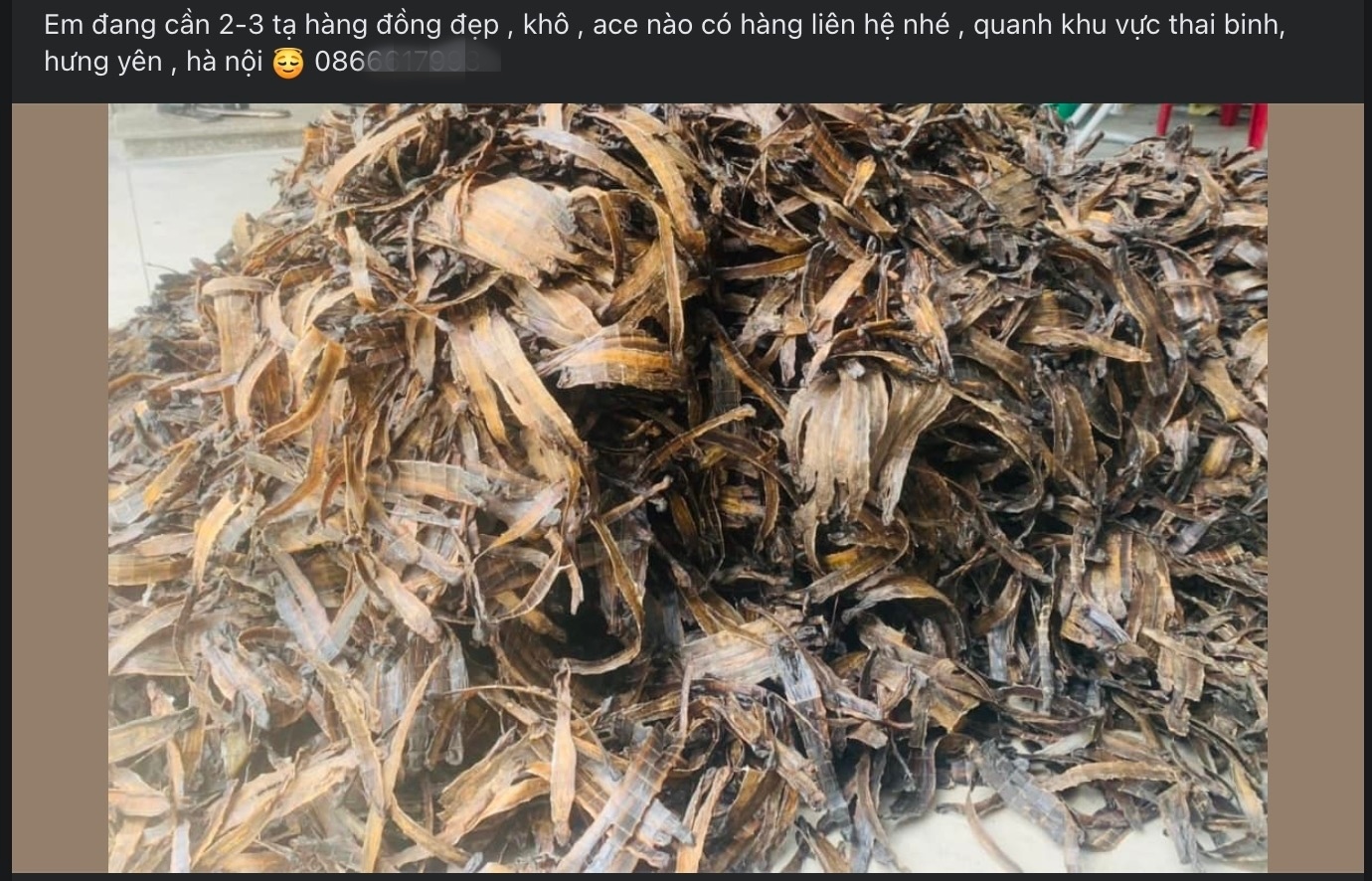 Thảm họa kích điện giun đất tàn phá vườn tược: Chiêu trò ‘đánh nhanh, thu gọn’ của đầu nậu - 1