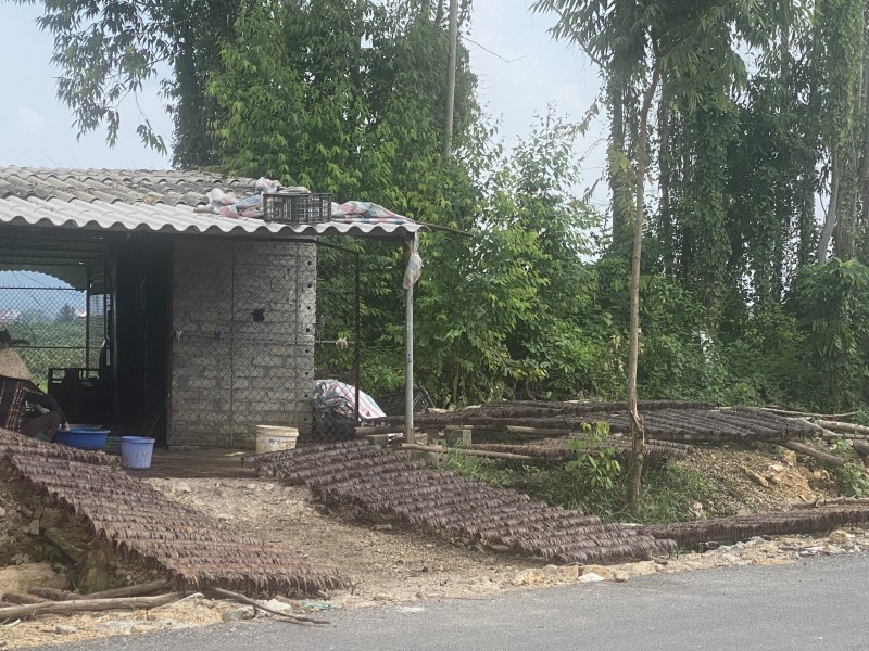 Lạng Sơn: Bắt giữ 1,3 tấn giun đất khô không nguồn gốc Lạng Sơn: Bắt giữ 1,3 tấn giun đất khô không nguồn gốc