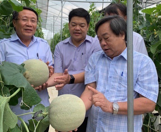 undefined Phát huy vai trò tuyên truyền chính sách và hỗ trợ kỹ thuật khuyến nông theo hướng “cầm tay chỉ việc”