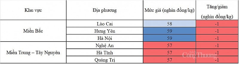 Giá heo hơi hôm nay ngày 26/8/2023: Dời mốc 60.000 đồng/kg Giá heo hơi hôm nay ngày 26/8/2023: Dời mốc 60.000 đồng/kg