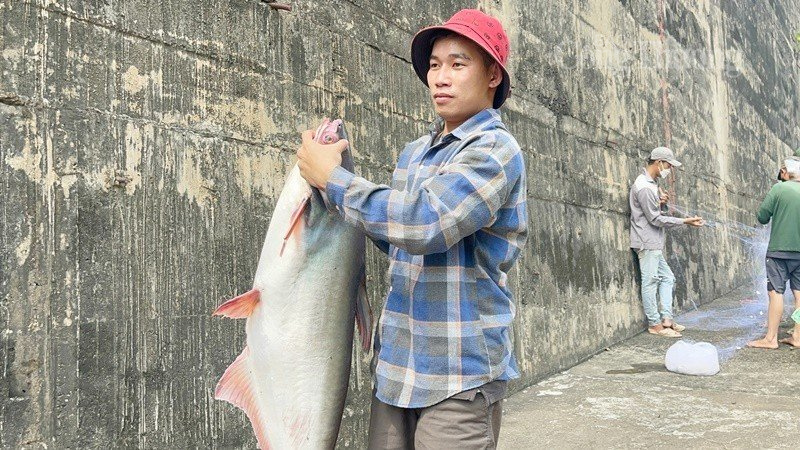 Hàng trăm người dân đổ xô vào thủy điện Trị An bắt cá ‘khủng’ Hàng trăm người dân đổ xô vào thủy điện Trị An bắt cá ‘khủng’