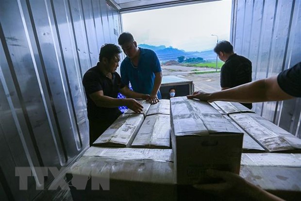 Hòa Bình xuất khẩu trên 17 tấn mía tươi sang thị trường Hoa Kỳ hình ảnh 2 Hoa Binh xuat khau tren 17 tan mia tuoi sang thi truong Hoa Ky hinh anh 2