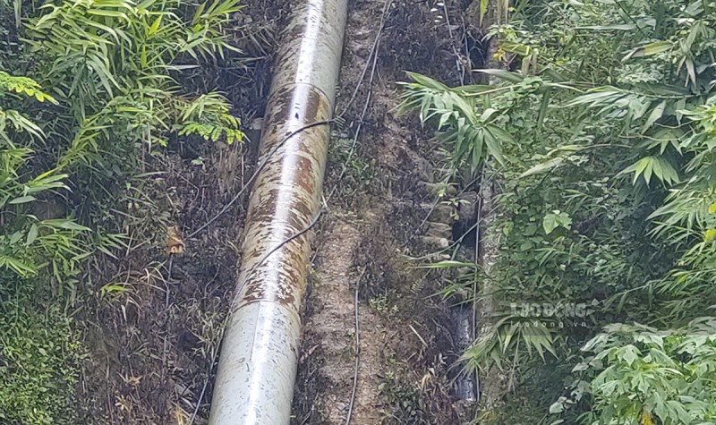 Hiện trường nghi nhiễm thuốc diệt cỏ khiến hàng chục người nhập viện tại Điện Biên | Tin tức mới nhất 24h -  Đọc Báo Lao Động online - Laodong.vn