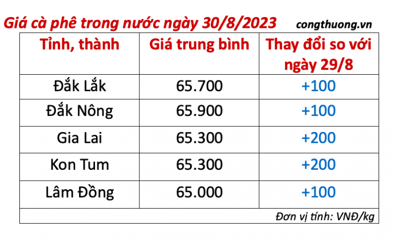 Giá cà phê hôm nay, ngày 30/8/2023: Giá cà phê trong nước tăng nhẹ
