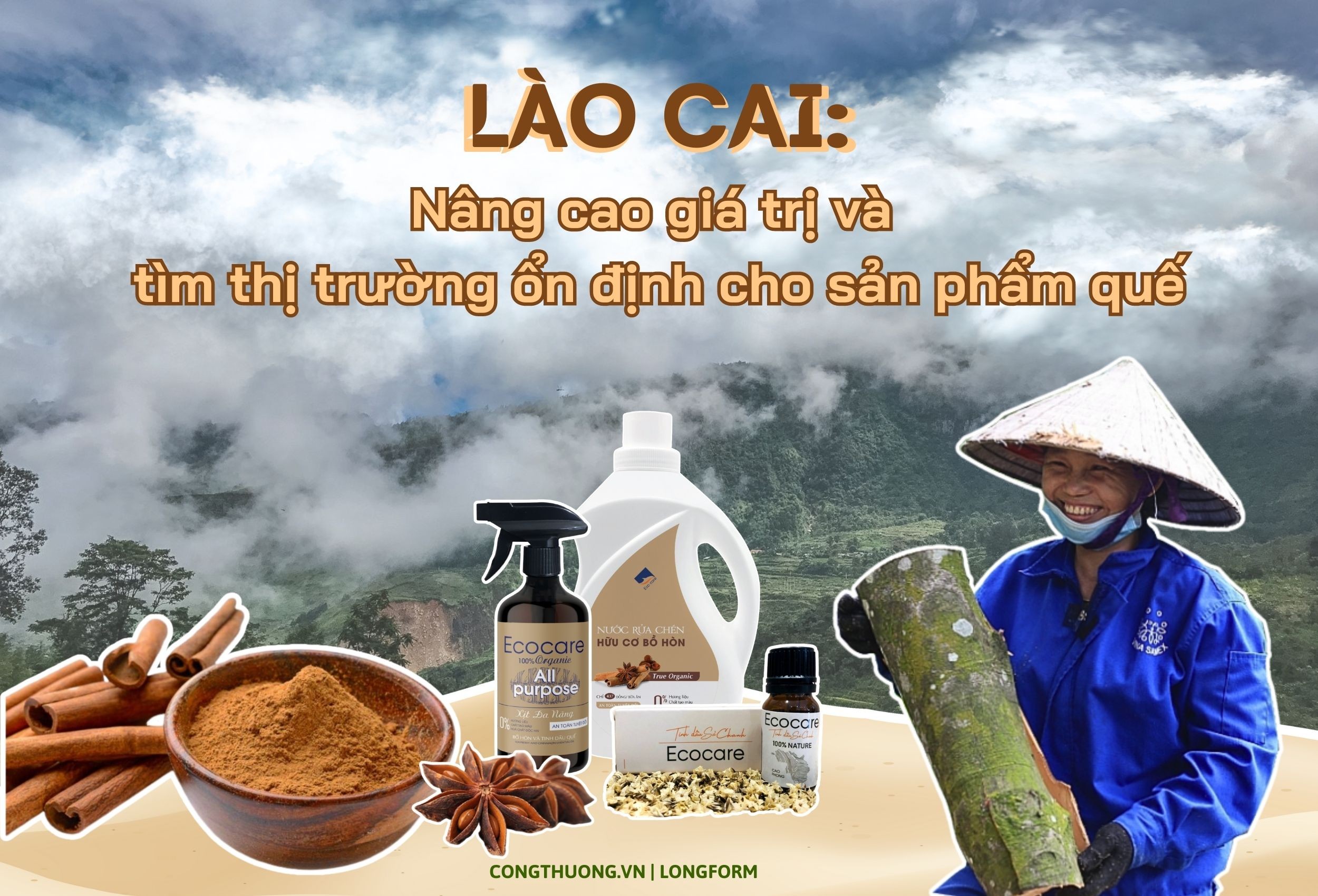 Longform | Lào Cai: Nâng cao giá trị và tìm thị trường ổn định cho sản phẩm quế Longform | Lào Cai: Nâng cao giá trị và tìm thị trường ổn định cho sản phẩm quế