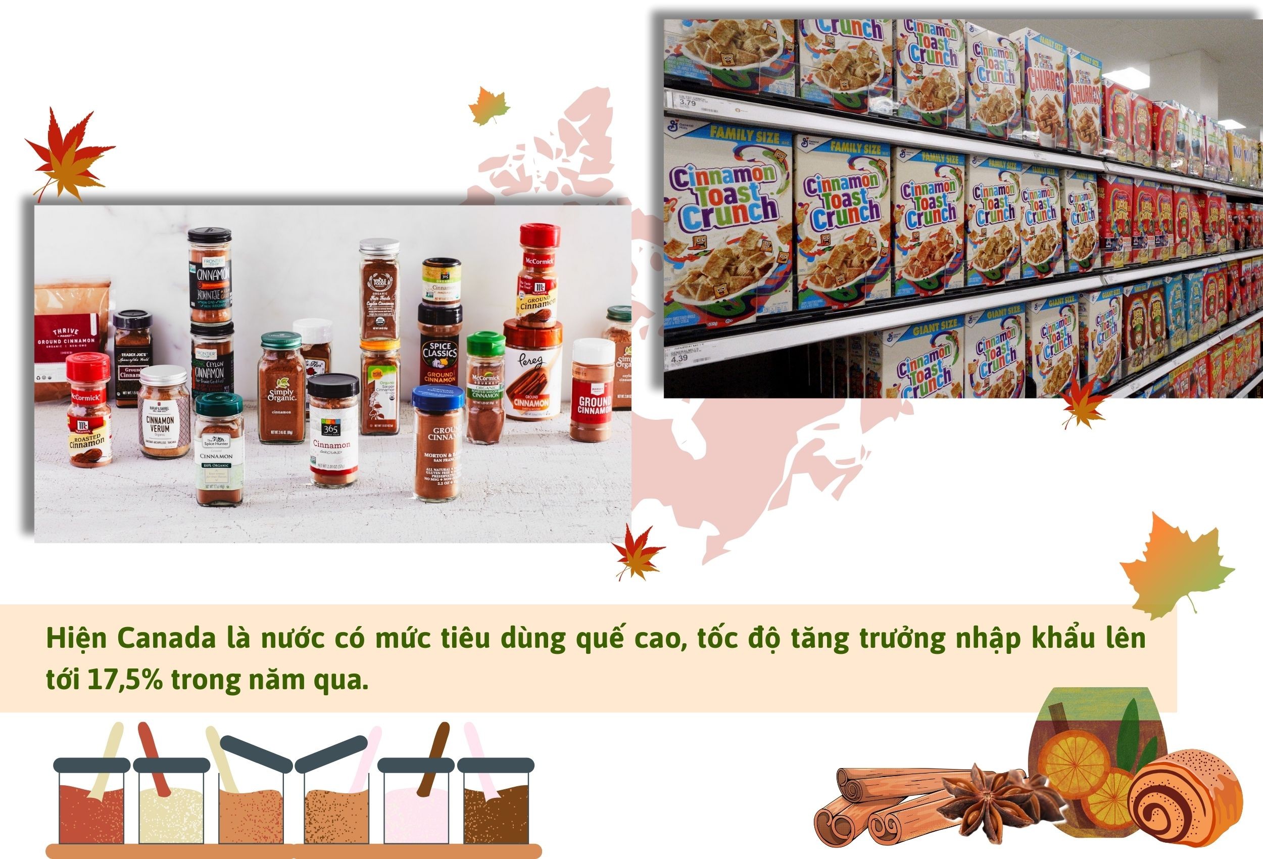 Longform | Lào Cai: Nâng cao giá trị và tìm thị trường ổn định cho sản phẩm quế Longform | Lào Cai: Nâng cao giá trị và tìm thị trường ổn định cho sản phẩm quế