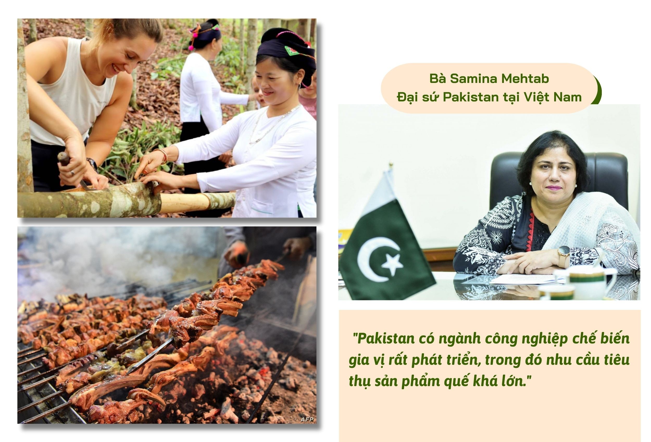 Longform | Lào Cai: Nâng cao giá trị và tìm thị trường ổn định cho sản phẩm quế Longform | Lào Cai: Nâng cao giá trị và tìm thị trường ổn định cho sản phẩm quế