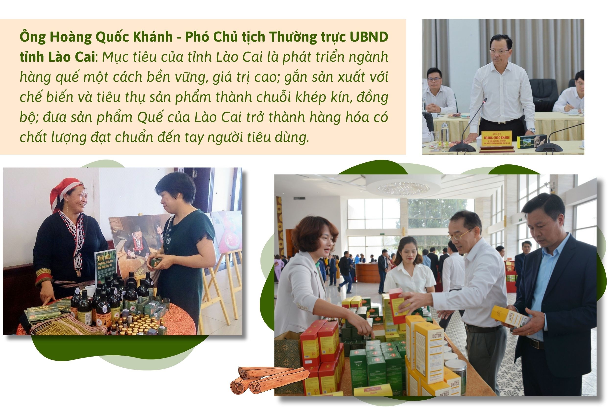 Longform | Lào Cai: Nâng cao giá trị và tìm thị trường ổn định cho sản phẩm quế Longform | Lào Cai: Nâng cao giá trị và tìm thị trường ổn định cho sản phẩm quế