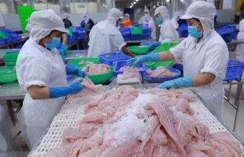 Xuất khẩu nông, lâm, thủy sản 8 tháng đầu năm 2023 giảm 9,5%