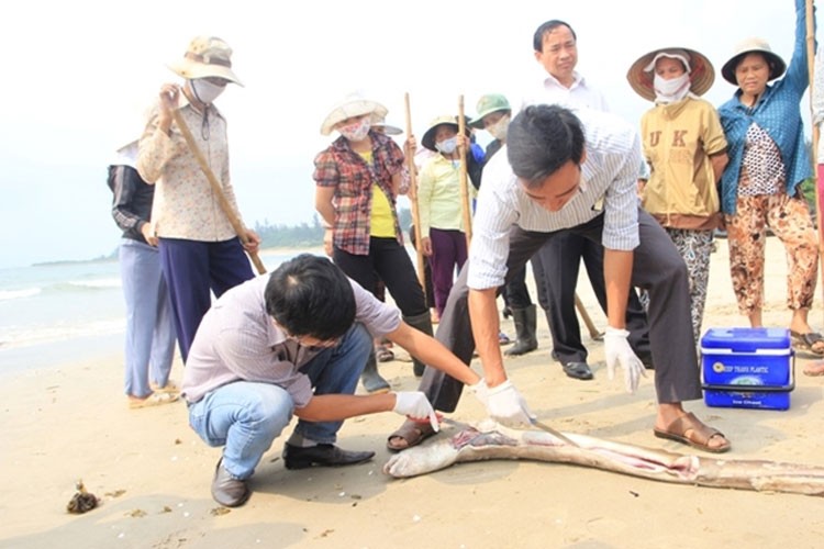 Cảnh giác với các thủ đoạn mượn danh "bảo vệ môi trường" để xuyên tạc, chống phá Cảnh giác với các thủ đoạn mượn danh "bảo vệ môi trường" để xuyên tạc, chống phá