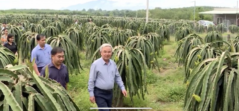 Tỉnh Đồng Nai đẩy mạnh phát triển mô hình chuỗi liên kết trong lĩnh vực nông nghiệp