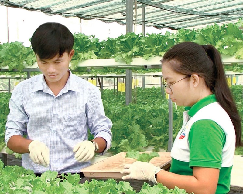 Đổi thay trên quê hương Nam Kỳ khởi nghĩa Đổi thay trên quê hương Nam Kỳ khởi nghĩa