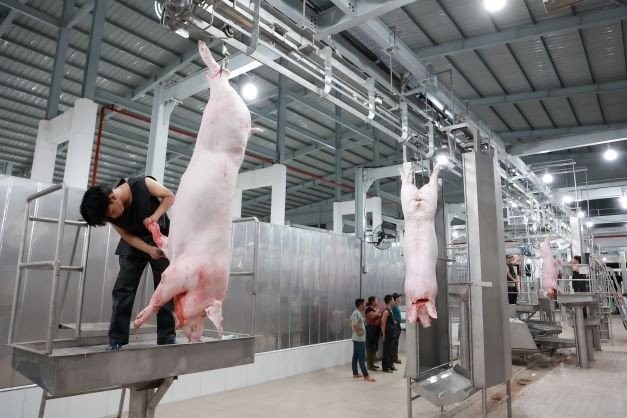 Sàn giao dịch thịt heo: Ý tưởng hay nhưng có dễ thực hiện Sàn giao dịch thịt heo: Ý tưởng hay nhưng có dễ thực hiện