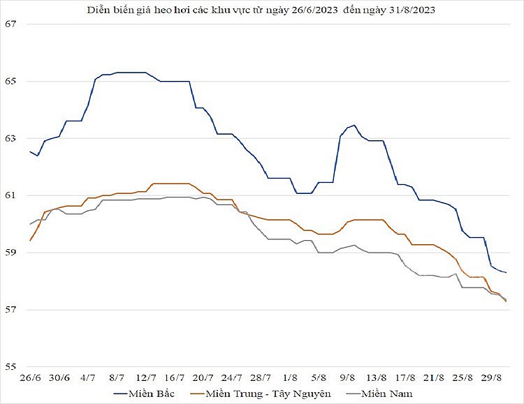 Diễn biến giá heo hơi các khu vực từ cuối tháng 6/2023 đến cuối tháng 8/2023 (Nguyễn Hạnh) Diễn biến giá heo hơi các khu vực từ cuối tháng 6/2023 đến cuối tháng 8/2023 (Nguyễn Hạnh)