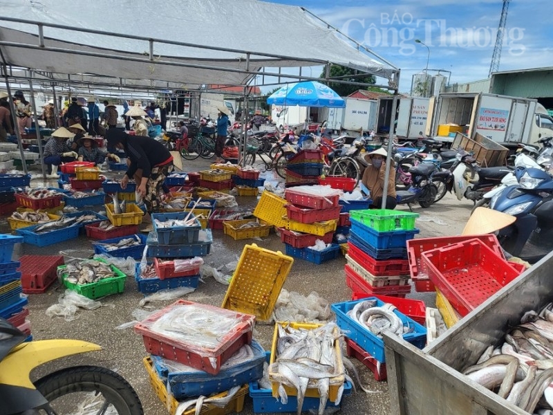 Thanh Hóa: Cảng cá Lạch Bạng bồi lắng khiến ngư dân gặp khó mỗi khi ra khơi Thanh Hóa: Cảng cá Lạch Bạng bồi lắng khiến ngư dân gặp khó mỗi khi ra khơi