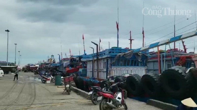 Thanh Hóa: Cảng cá Lạch Bạng bồi lắng khiến ngư dân gặp khó mỗi khi ra khơi Thanh Hóa: Cảng cá Lạch Bạng bồi lắng khiến ngư dân gặp khó mỗi khi ra khơi