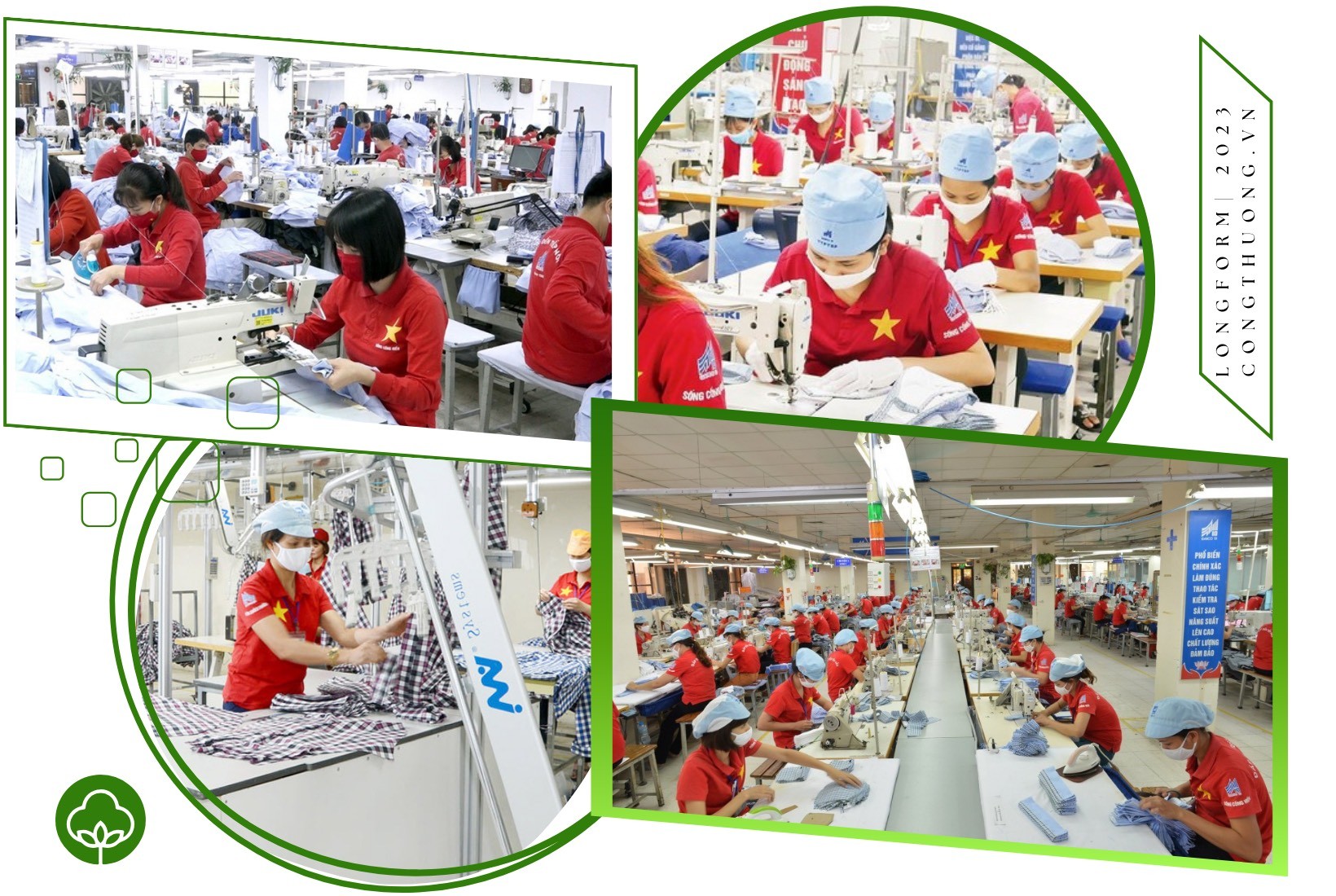 Longform | Bài 1: Mặt hàng xuất khẩu tỷ đô “khó chồng khó” Longform | Bài 1: Mặt hàng xuất khẩu tỷ đô “khó chồng khó”