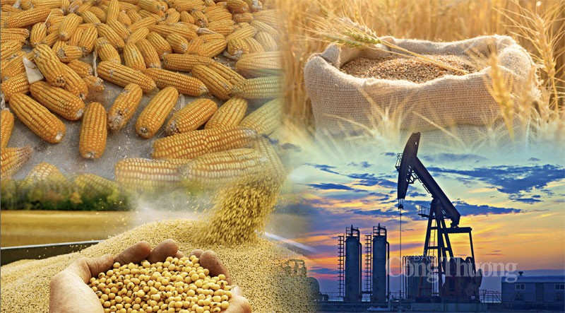 Thị trường hàng hóa hôm nay ngày 4/9/2023: Giá dầu cao nhất 9 tháng, bông, đường đón nhận lực mua tích cực Thị trường hàng hóa hôm nay ngày 4/9/2023: Giá dầu cao nhất 9 tháng, bông, đường đón nhận lực mua tích cực