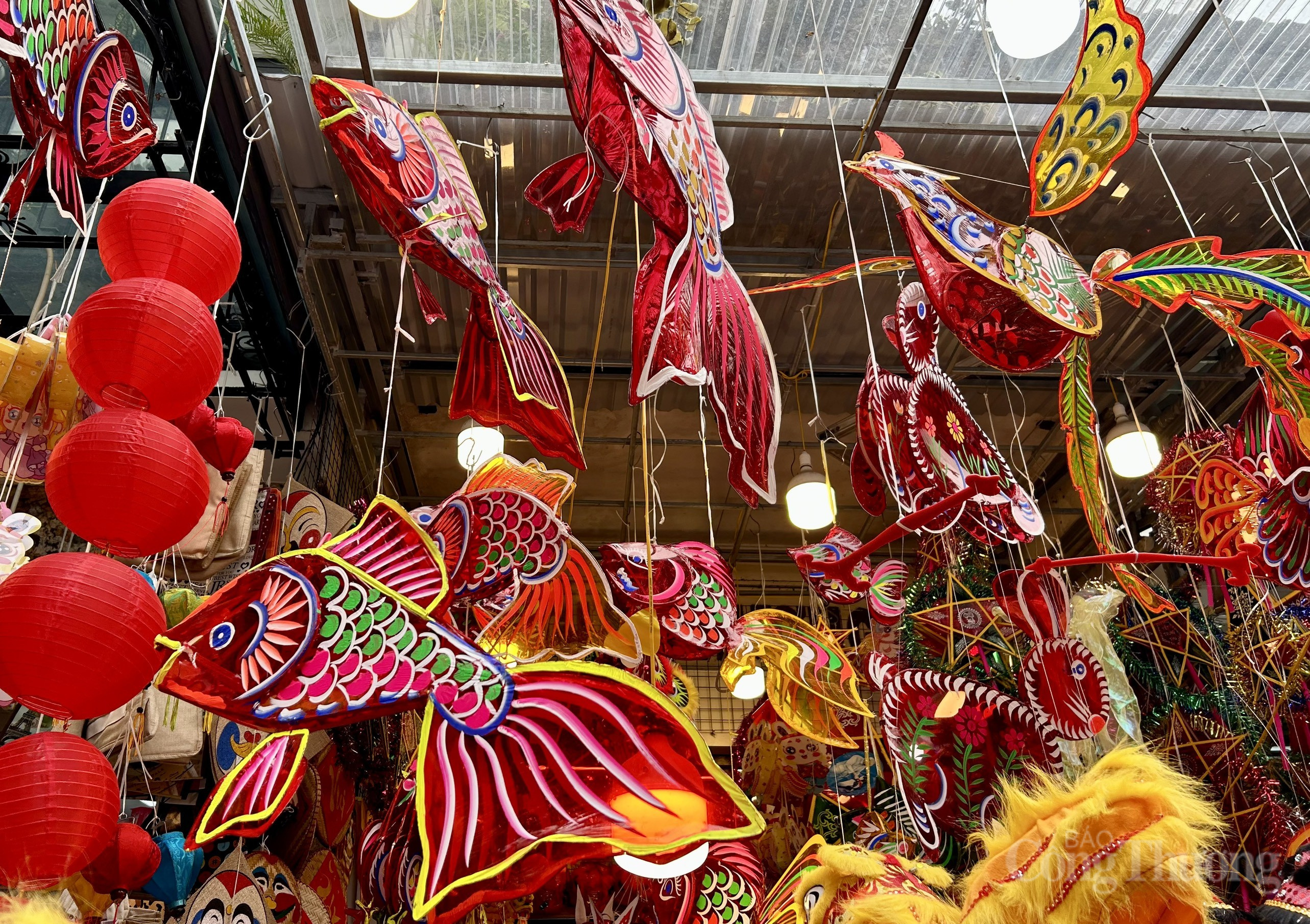 Phố Hàng Mã rực rỡ sắc màu đón Trung thu sớm