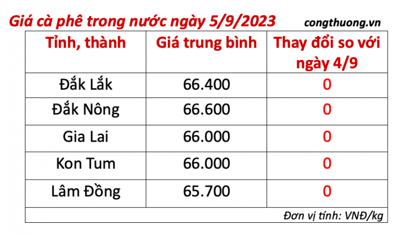 Giá cà phê hôm nay, ngày 5/9/2023: Giá cà phê trong nước