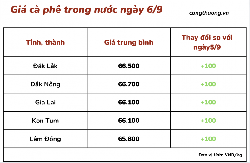 Giá cà phê 6/9, giá cà phê trong nước ngày 6/9/2023 Giá cà phê 6/9, giá cà phê trong nước ngày 6/9/2023