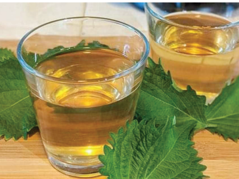 Trà tía tô Trà tía tô