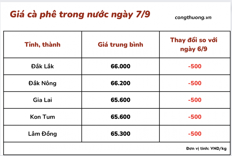 Giá cà phê 7/9, giá cà phê trong nước ngày 7/9/2023 Giá cà phê 7/9, giá cà phê trong nước ngày 7/9/2023