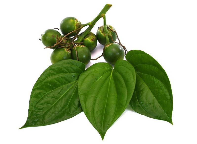 Nhiễm ký sinh trùng - Sai lầm khi ngâm rau sống với nước muối mà mọi người vẫn hay làm Nhiễm ký sinh trùng - Sai lầm khi ngâm rau sống với nước muối mà mọi người vẫn hay làm