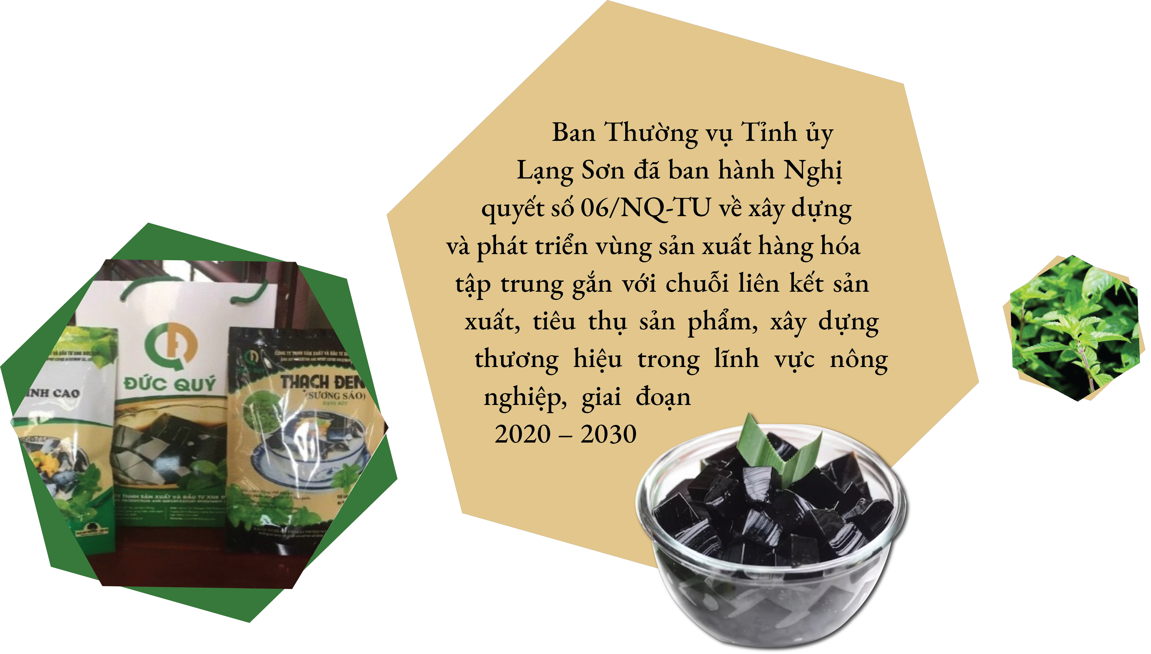 Longform | Lạng Sơn: Hiệu quả cao từ vùng sản xuất hàng hóa tập trung gắn với chuỗi liên kết Longform | Lạng Sơn: Hiệu quả cao từ vùng sản xuất hàng hóa tập trung gắn với chuỗi liên kết