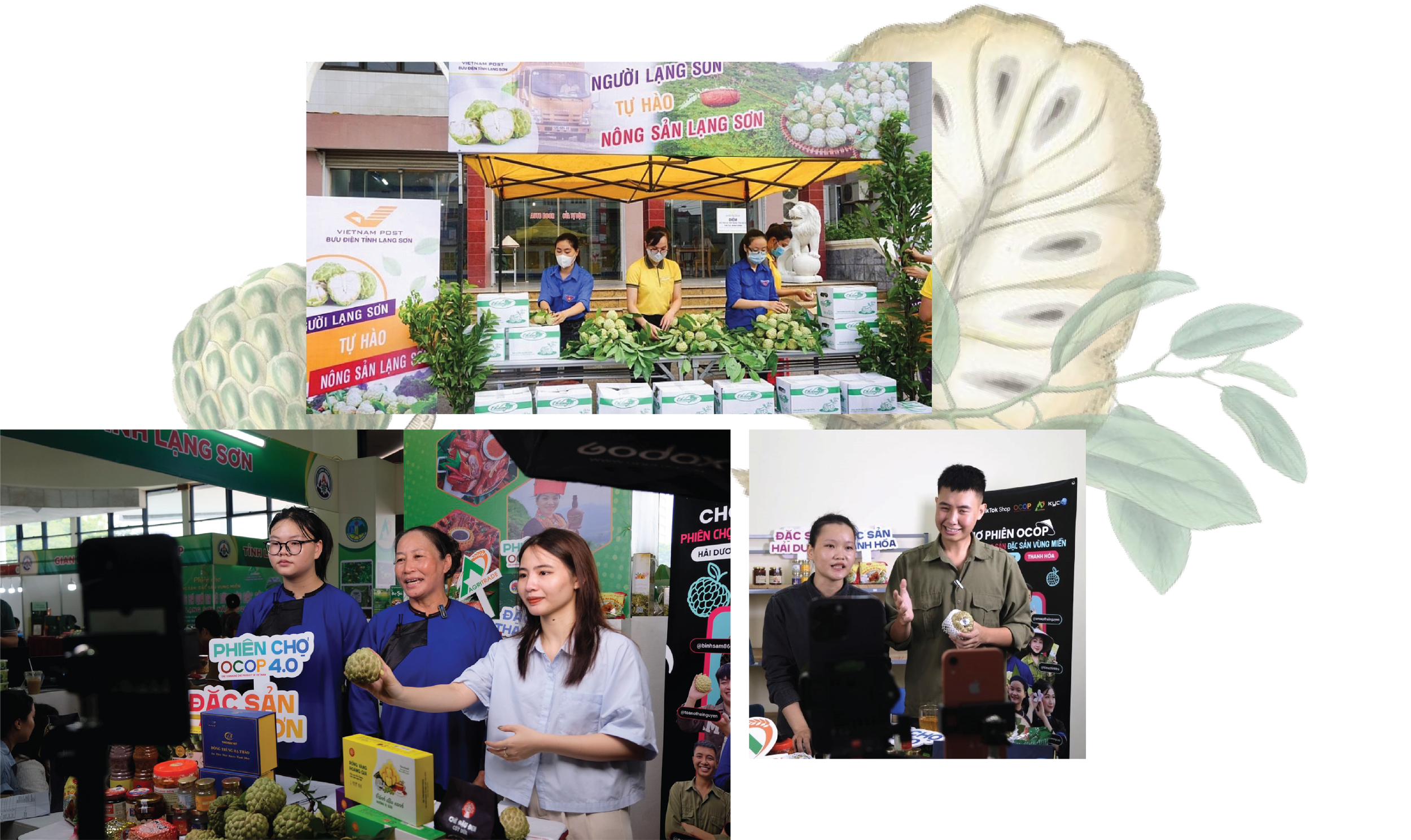 Longform | Lạng Sơn: Hiệu quả cao từ vùng sản xuất hàng hóa tập trung gắn với chuỗi liên kết Longform | Lạng Sơn: Hiệu quả cao từ vùng sản xuất hàng hóa tập trung gắn với chuỗi liên kết